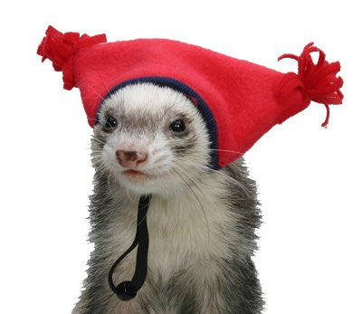 Ferret Hat